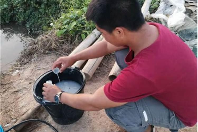 磷肥如何正确施用更高效