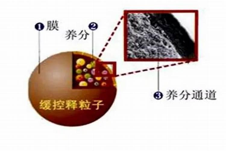 控释肥的颗粒控释肥