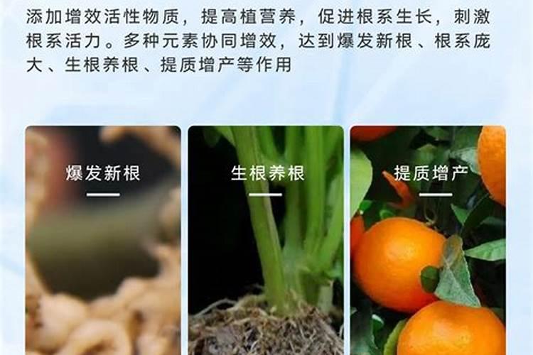 玉米底肥用3045的含量可以吗？