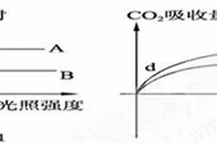 玉米后期追什么肥料好