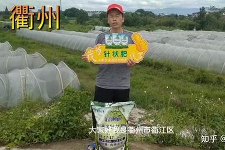 氨基酸颗粒肥使用方法？