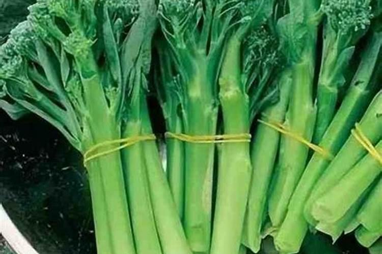 冷棚冬枣七月份怎样管理。 现在正是膨大的时间,施什么肥好,用什么...