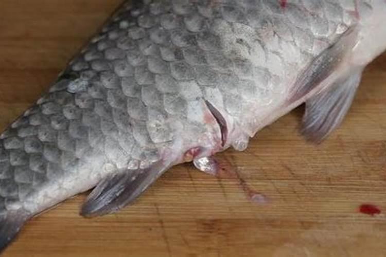 专家教你自制氮磷钾肥的方法