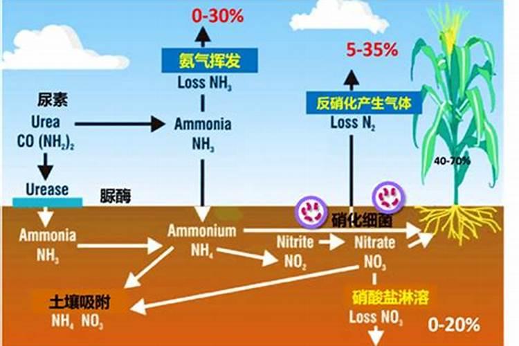矿源腐植酸+氮磷钾,农极客农满穗含腐植酸水溶肥上市了