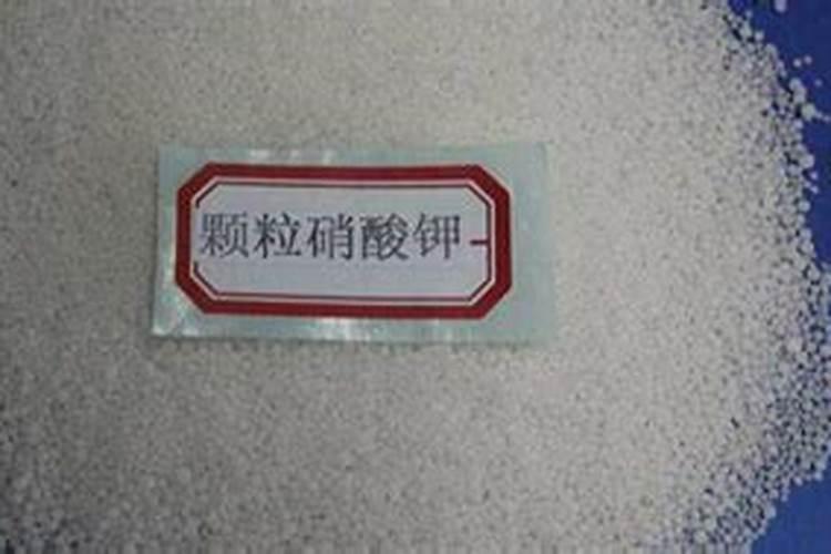钾肥是属于碱性肥料吗？