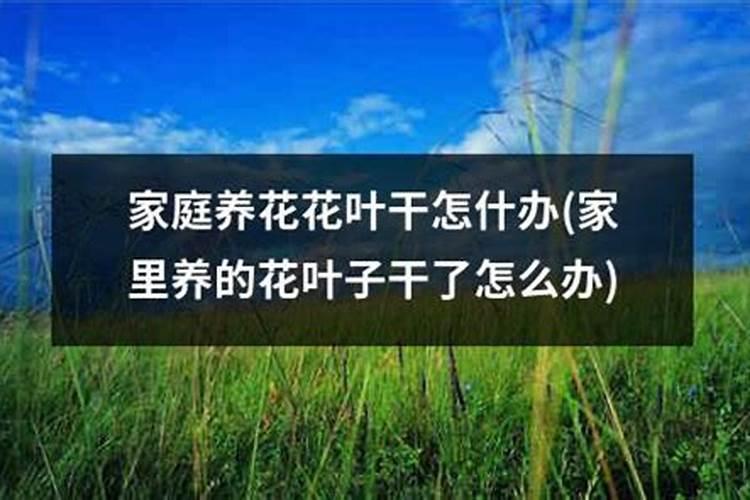 三角梅施肥过多叶子都掉了怎么办,叶子发黄一碰就掉的原因及解决方法百 ...