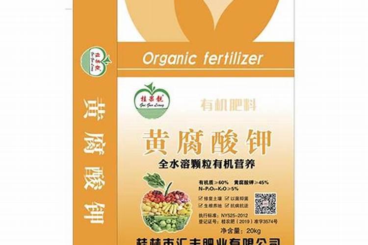 黄栌枯萎病疾病症状