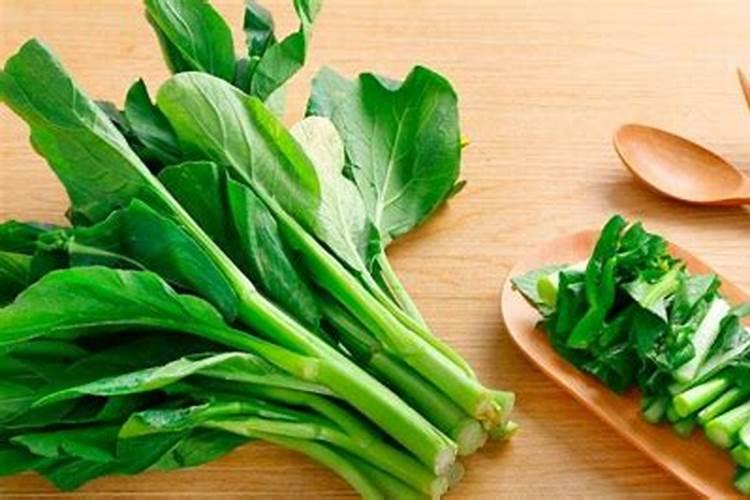 小麦蚜虫什么时间防治最好