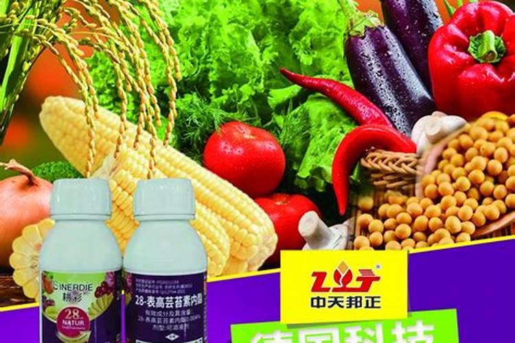 一般在什么情况下使用芸苔素