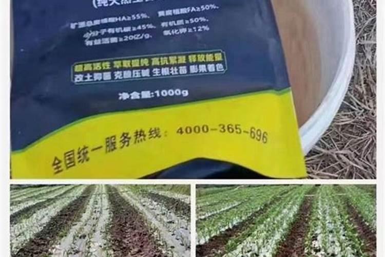 矿源黄腐酸钾的用量与用法