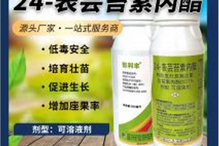 芸乐收多少钱一箱？