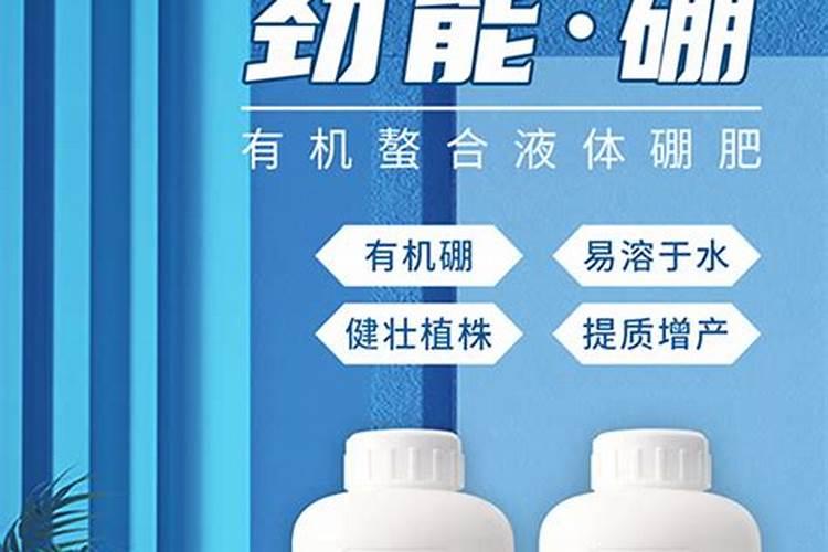 油菜施什么样的硼肥最好
