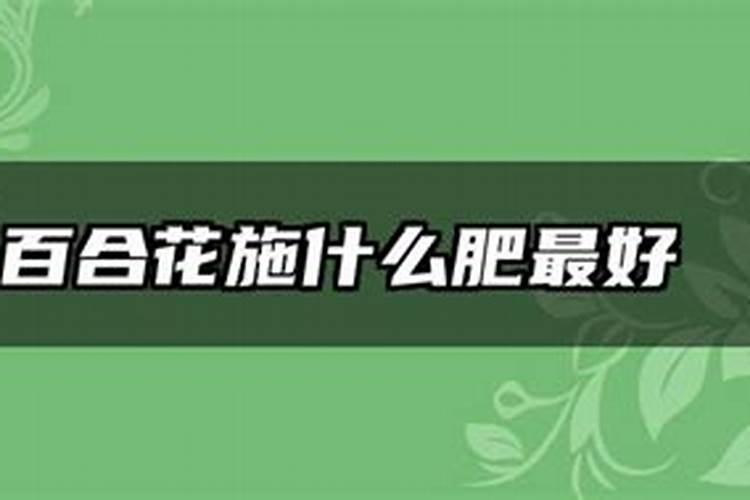 哪些公司招人工智能专业