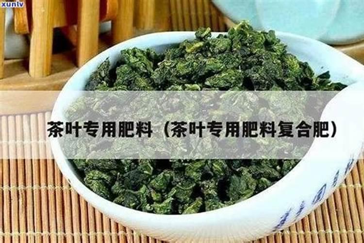茶叶秋梢肥用什么复合肥最好