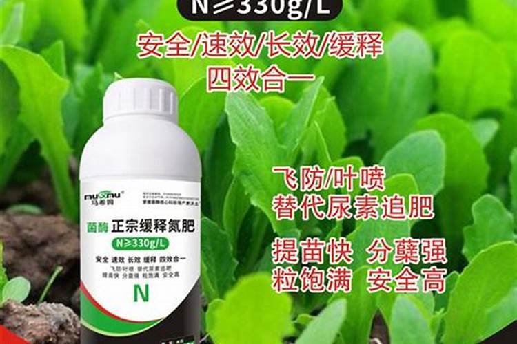 小麦苗肥能撒复合肥吗 小麦苗肥什么时间施