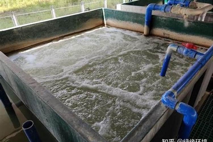 洗鱼废水如何处理