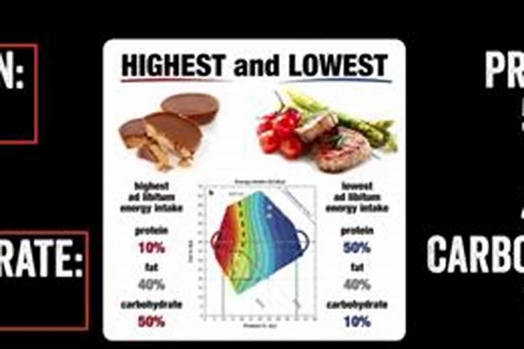 有机肥含氮量高不高