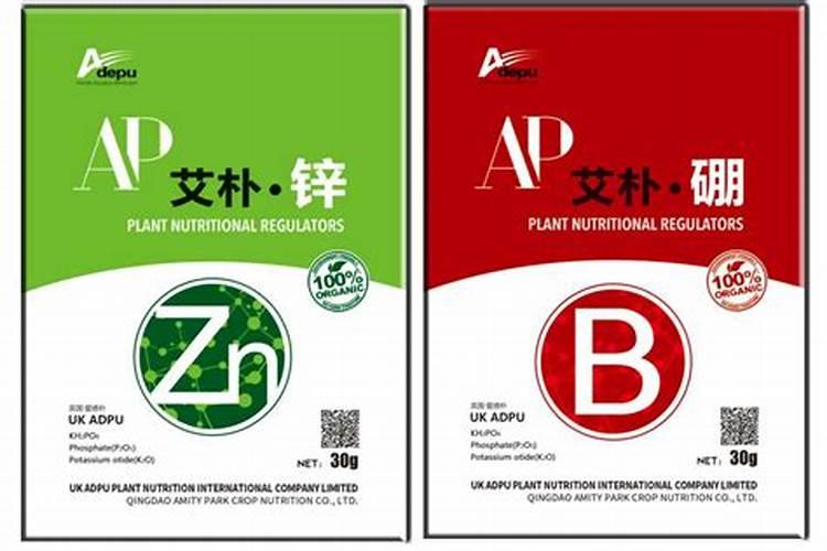 《迈向质朴戏剧》格洛托夫斯基 中国戏剧出版社