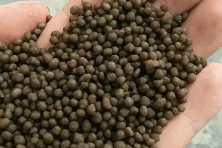 磷肥的作用是什么 磷肥怎么使用正确