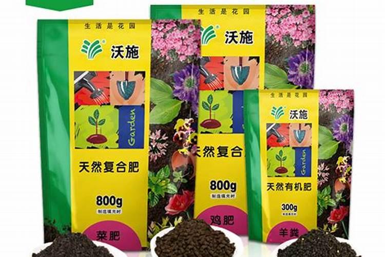 月季春天发芽施什么肥？