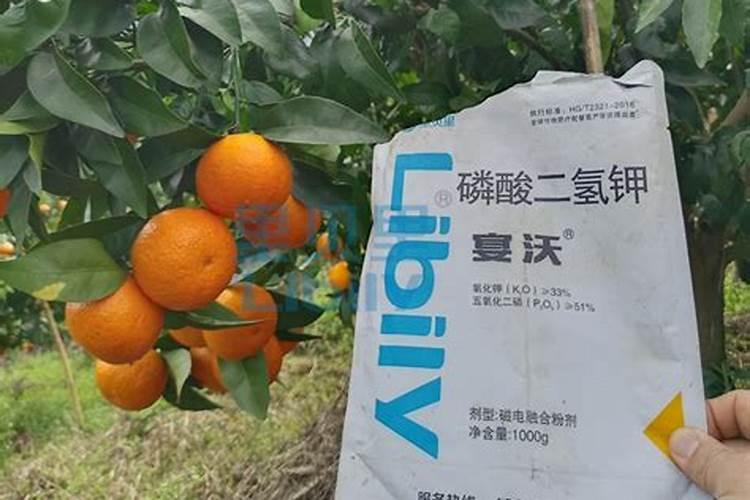 广西垂青旺财好懒人肥(柑橘)一桶价格多少？