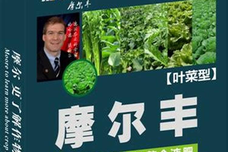 用最简单的方法制作种菜肥料