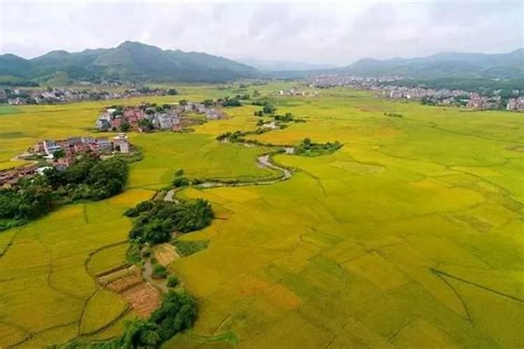 东台富硒盛农产品科技有限公司怎么样？