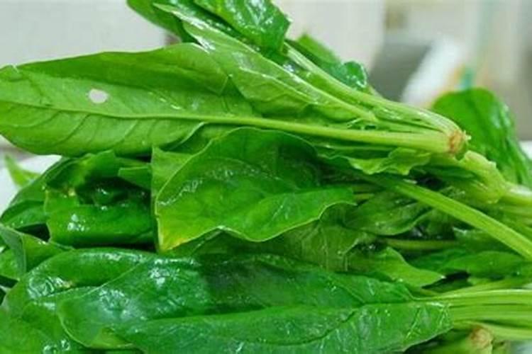 种植菠菜怎么施肥,该施什么肥料