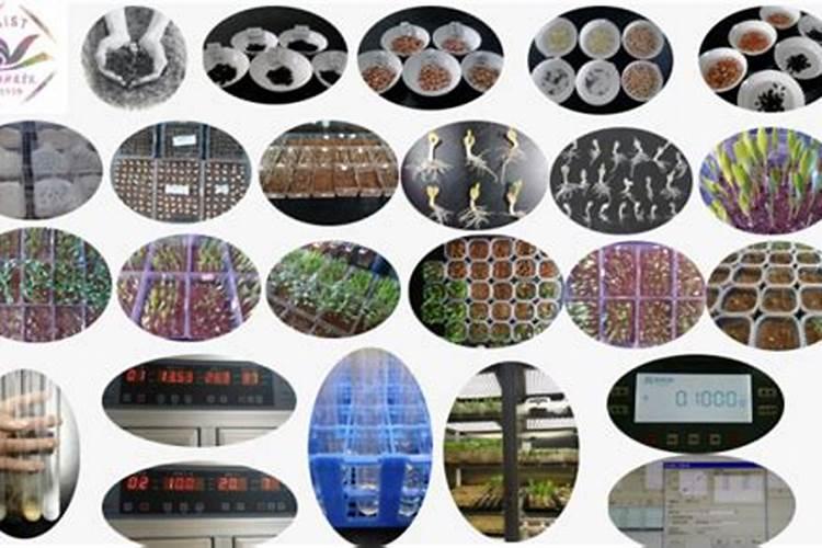 氮肥利用率计算方法