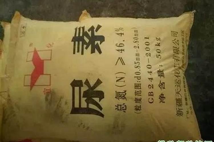 氮肥引起土壤板结氮肥属于哪种肥料