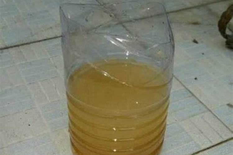 白酒可以当花肥养花吗？