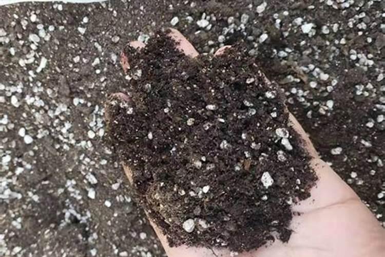 有机肥包括哪些？