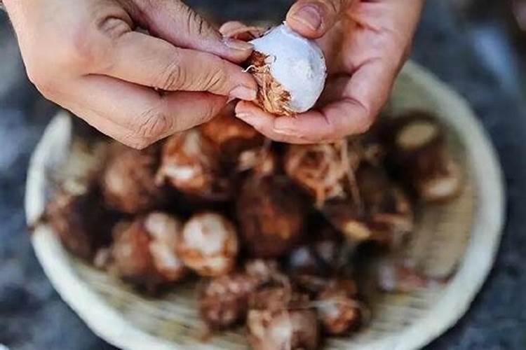 种植芋头需要用什么肥料最好(栽培芋头施什么肥产量高)
