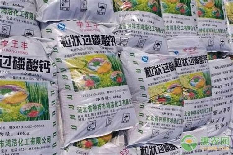 千里香怎么栽培？