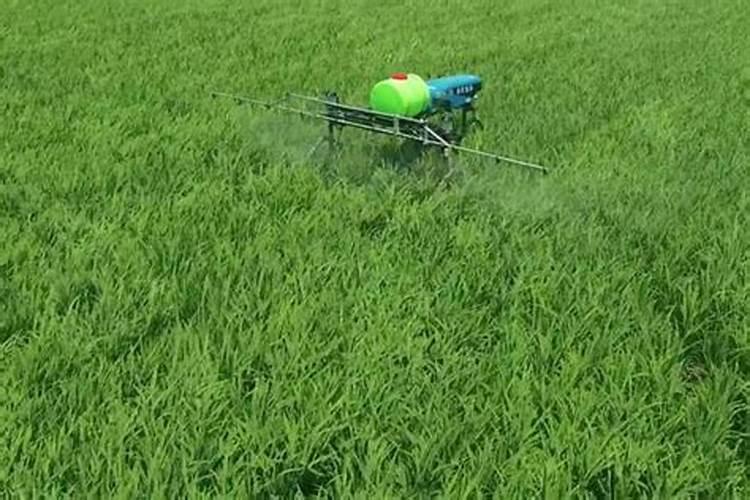 家庭种菜养花的种植土和营养土最全攻略