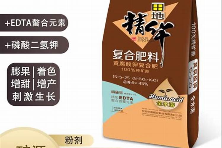 黄皮果可以扦插吗