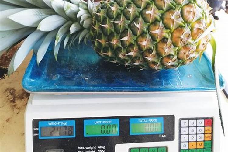 什么肥料施加给果树后能让果子长得又大又甜？