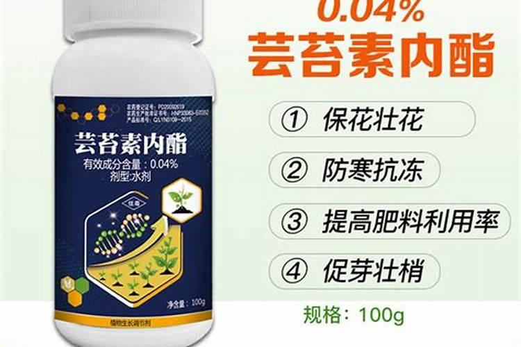 硕丰481芸苔素内酯多少钱一瓶？