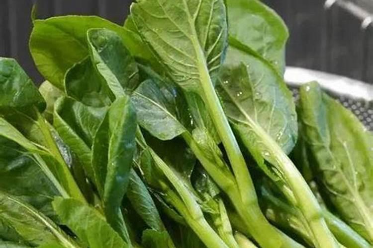 菜心的种植技术及管理方法