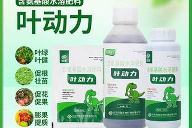 如何预防肥害的发生