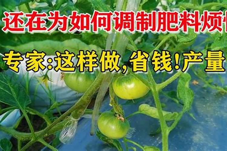 氮肥自己怎么制作