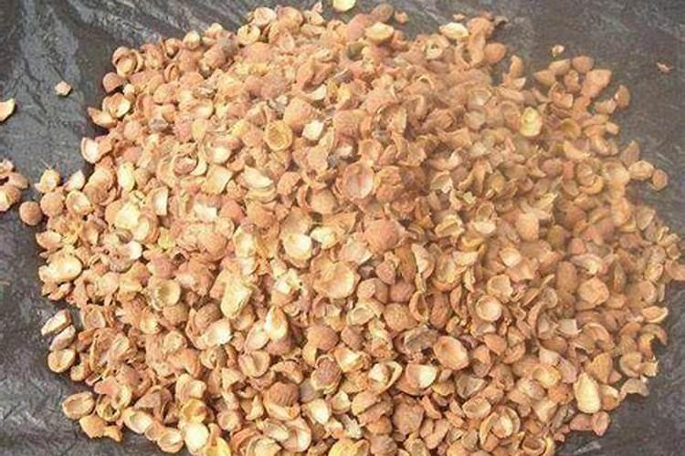 核桃壳可以做花肥料吗 核桃壳能做花肥料吗