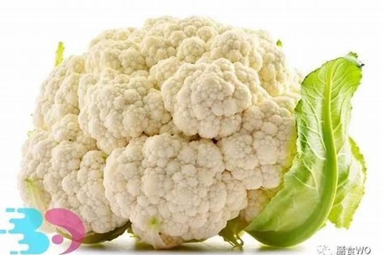 花椰菜的田间管理要注意哪些要点
