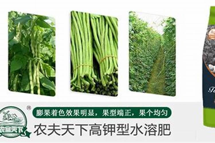 豆角上喷施医用葡萄糖做叶面肥可以吗？