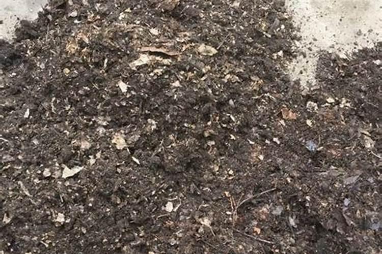 孝母加红糖在农作物冲施方法