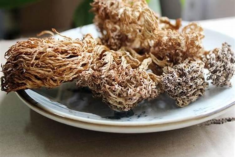 如何养殖羊肚子蘑菇