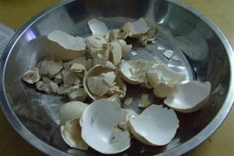 种植蘑菇都需要什么材料