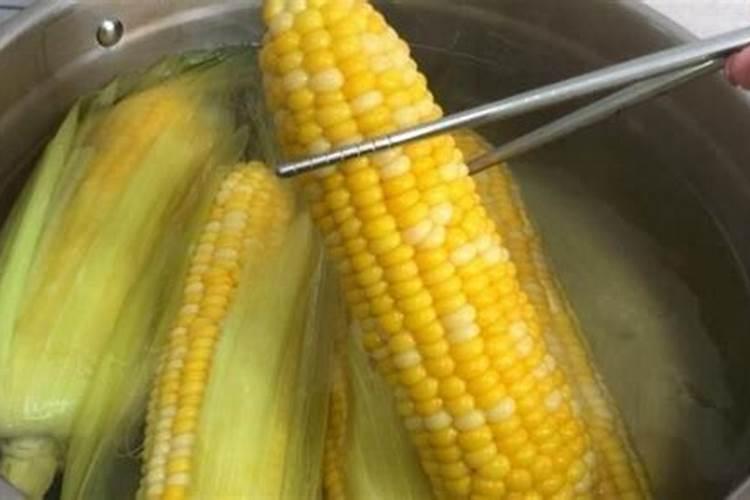 绿豆怎么才能做成肥料