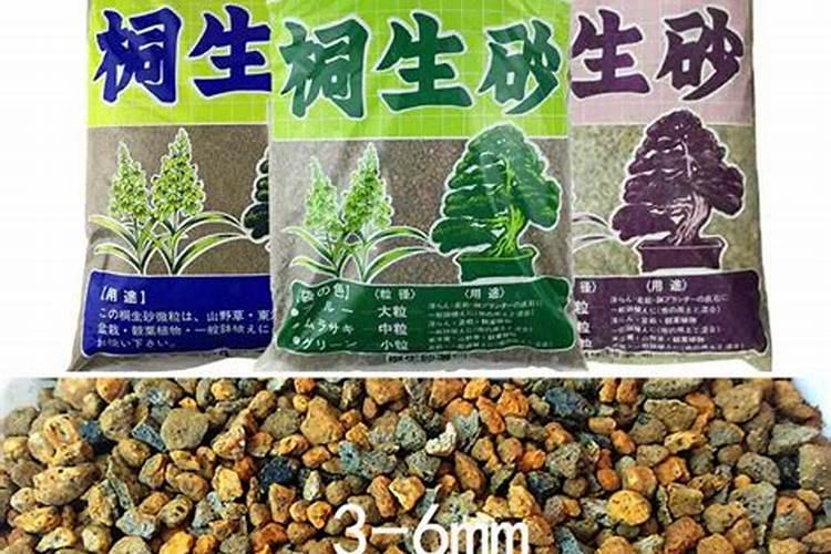 多肉使用什么肥料浇水最好