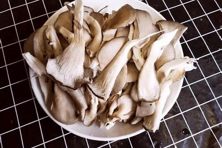 [叶面施肥的原理及在果树生产中的应用]平菇叶面可以喷施什么